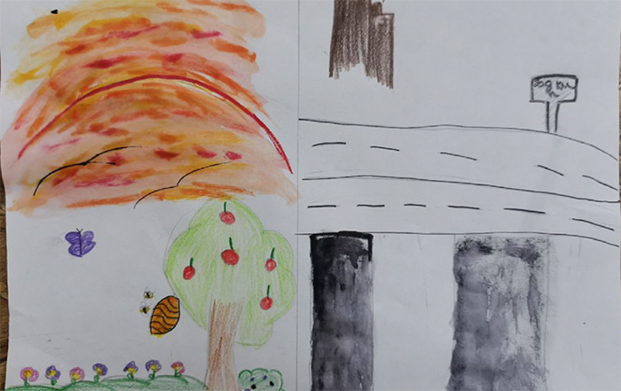 Le carte create dalla classe 2D