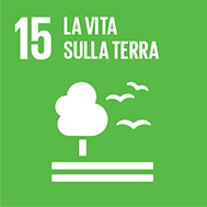Punto 15 Agenda 2030. Vita sulla Terra.