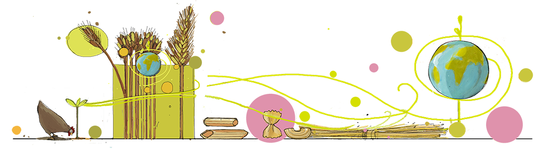 Disegno spighe di grano e pasta