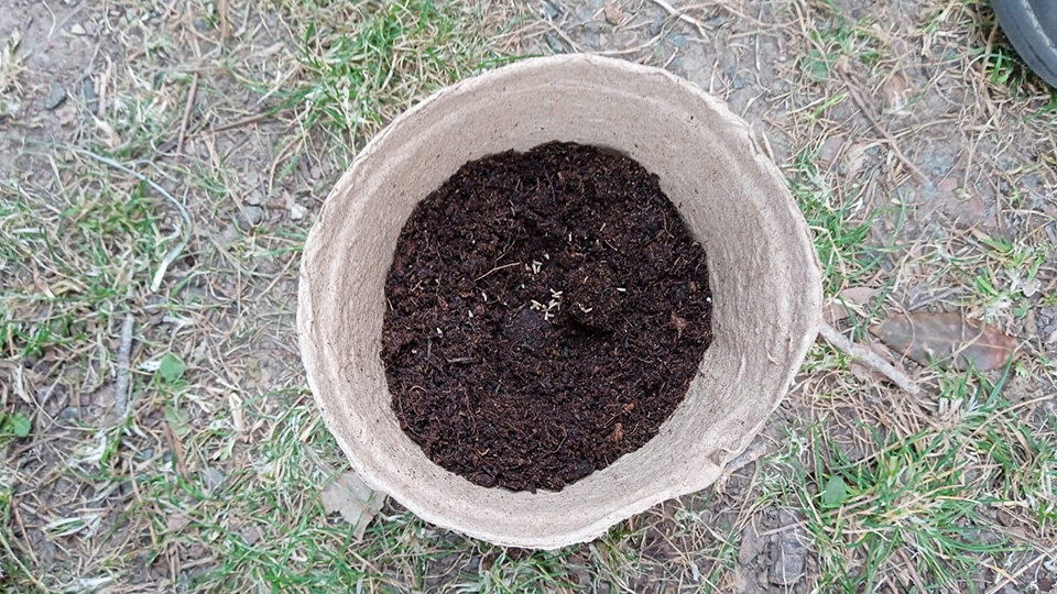 Vasetto pieno di terra