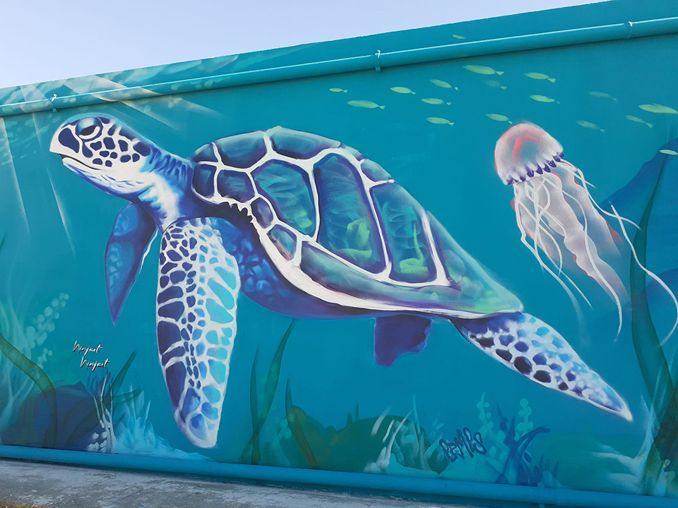 murales tartaruga marina murales tartaruga marina
