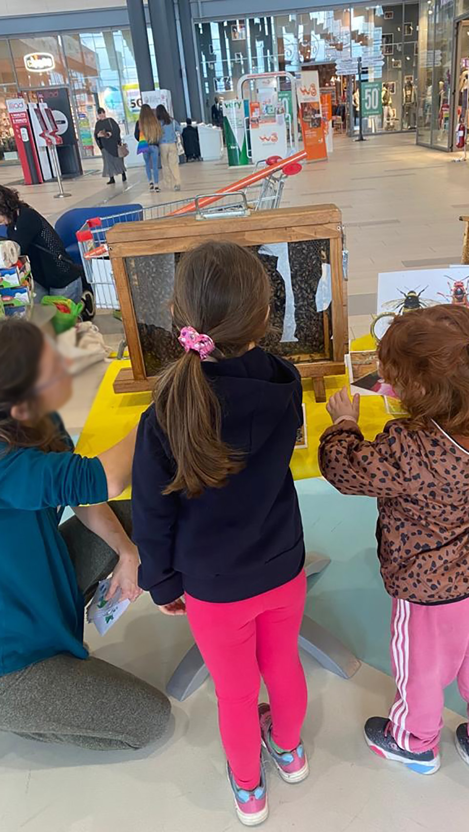 foto di una ragazza e due bambine che guardano il favo