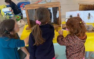 foto di una ragazza e due bambine che guardano il favo