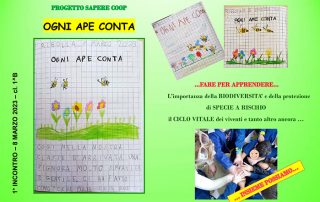 Anteprima progetto ogni ape conta creato dalla classe 1b. Sono presenti alcuni disegni raffiguranti le api che volano in un prato e la foto di alcuni bambini.