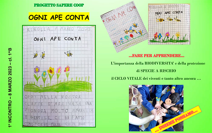 Anteprima progetto ogni ape conta creato dalla classe 1b. Sono presenti alcuni disegni raffiguranti le api che volano in un prato e la foto di alcuni bambini.