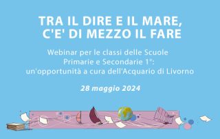 TRA IL DIRE E IL MARE, C'E' DI MEZZO IL FARE" Webinar per le classi delle Scuole Primarie e Secondarie 1°: un'opportunità a cura dell'Acquario di Livorno con Disegno barche a vela e un aeroplano