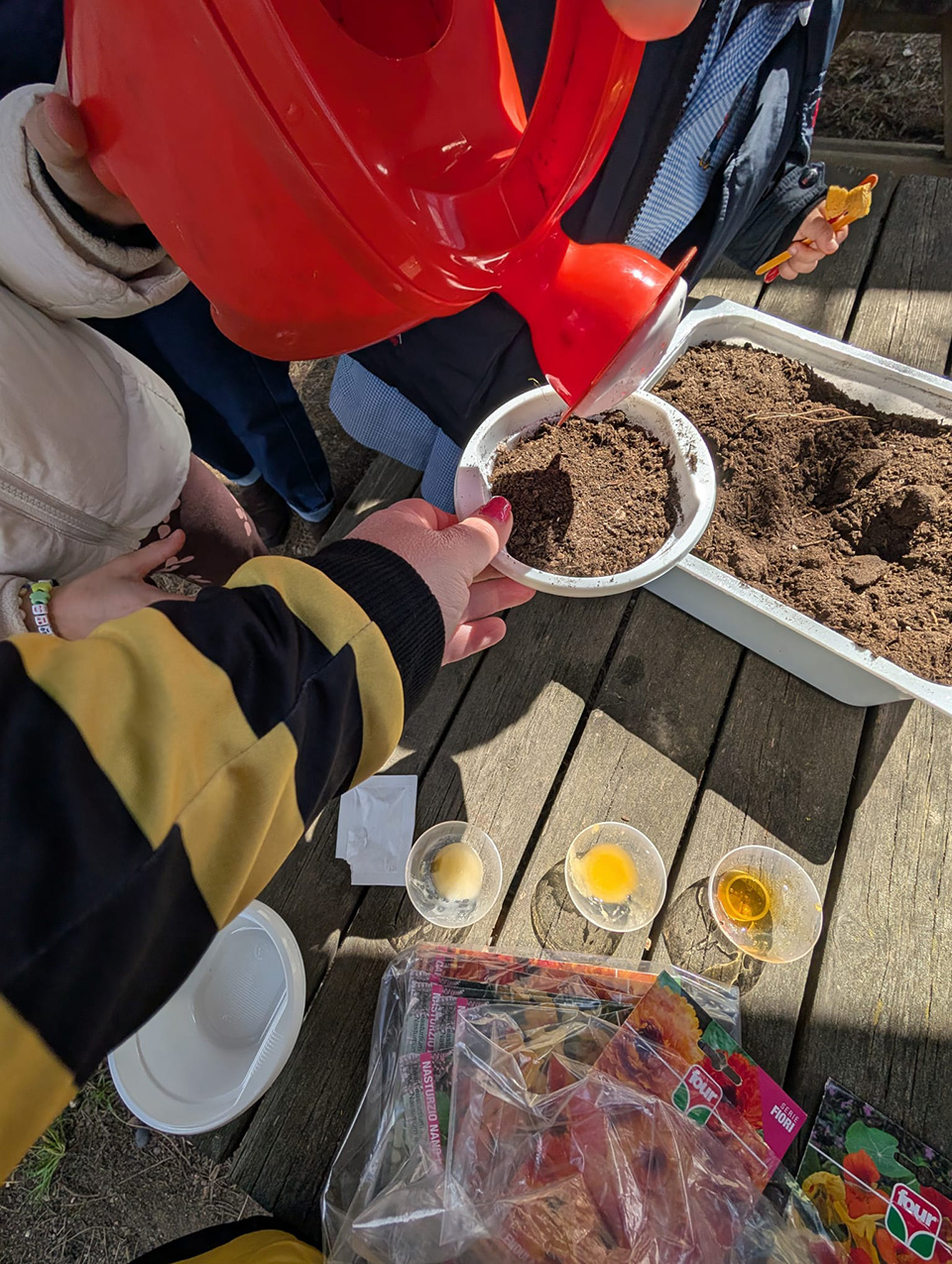 foto di innaffiatoio su vaso di terra