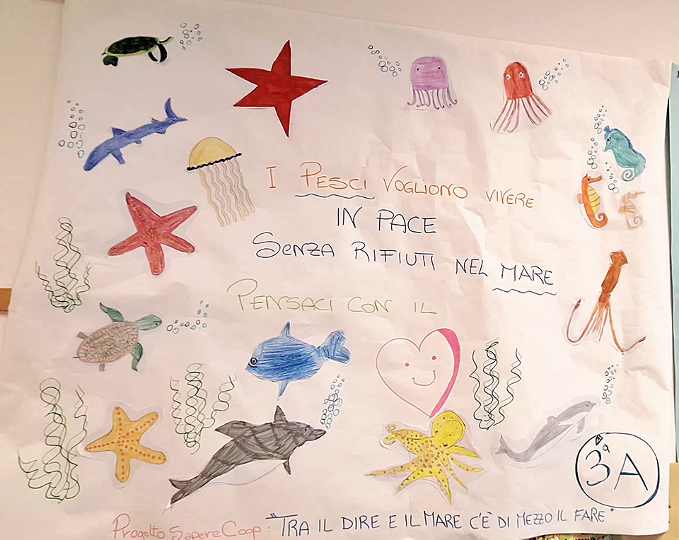 cartellone con disegni di diverse specie marine